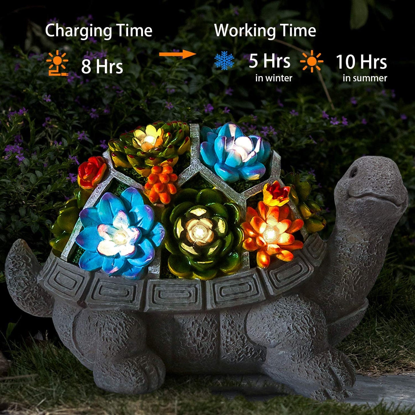 Flower Tortoise