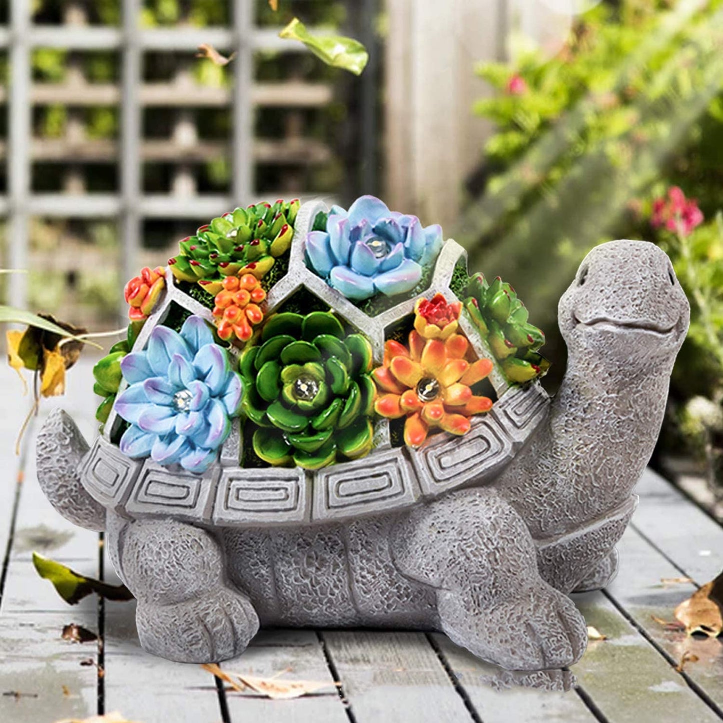 Flower Tortoise