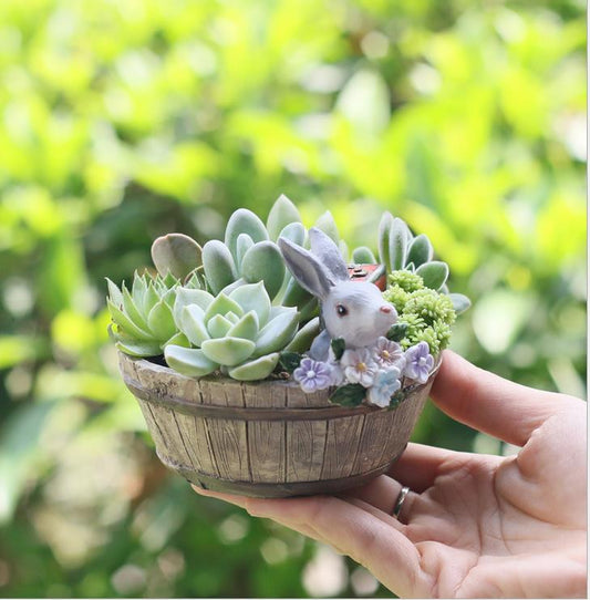 Wooden Basin Micro Garden